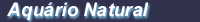 aquarion.gif (3002 bytes)